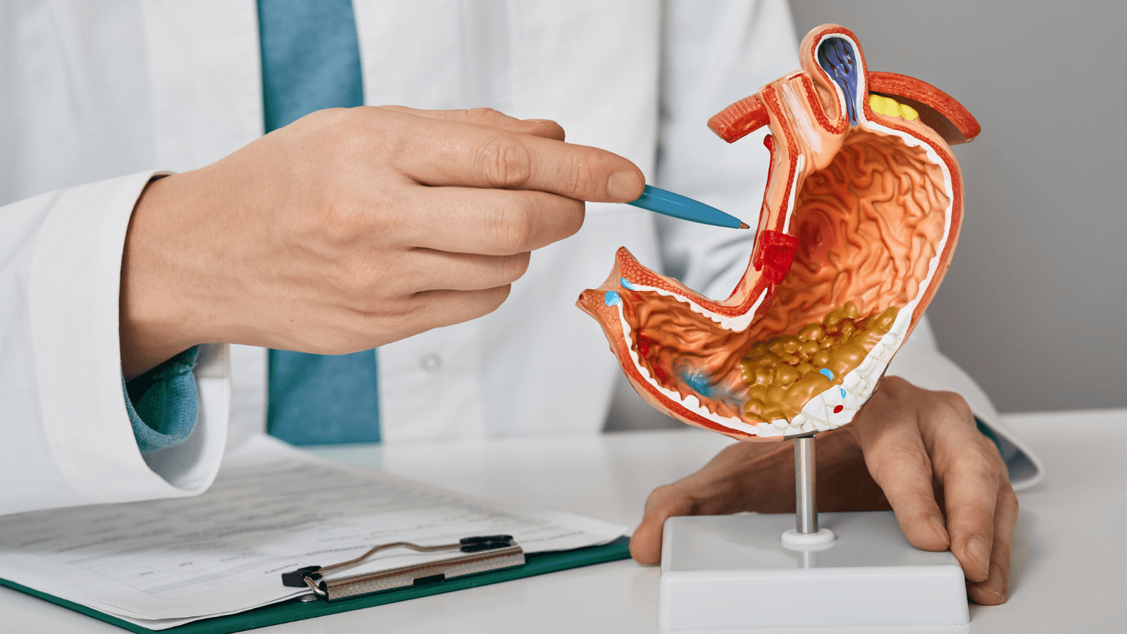 Gastroenteroloji